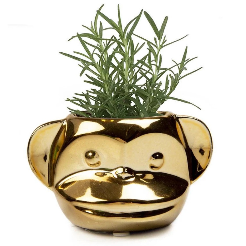 Funky Monkey Planter GUC!!! 2” Opening